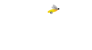 firefly cayman — car rentals